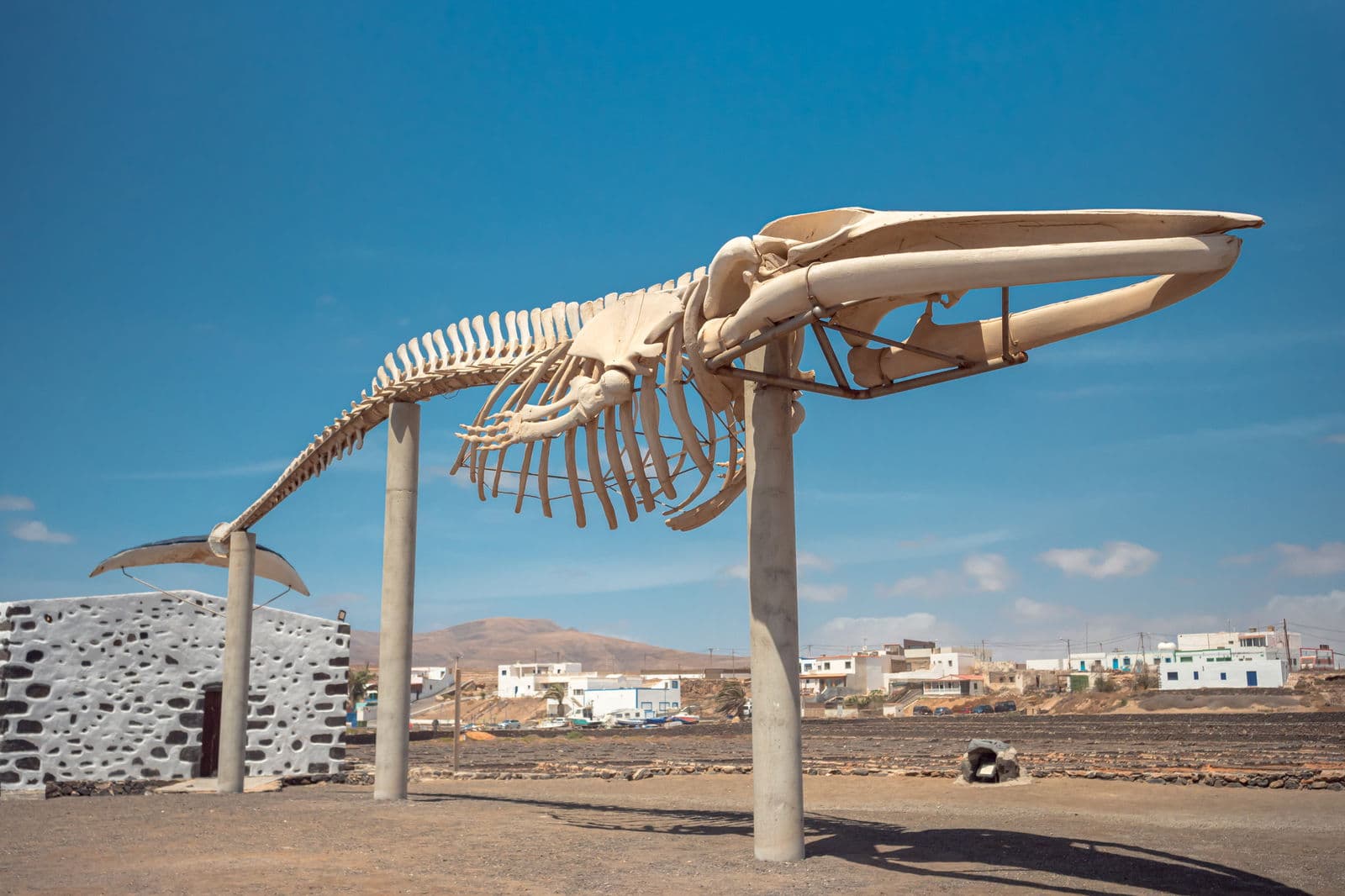 Northern Lanzarote with Jameos del Agua